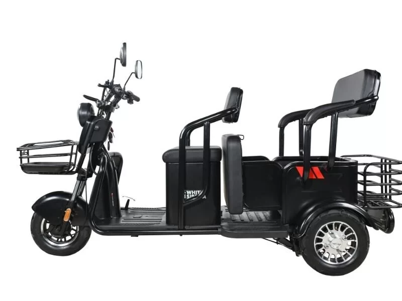 Электротрицикл White Siberia SIBTRIKE R 2000W купить в Минске - Цена ...